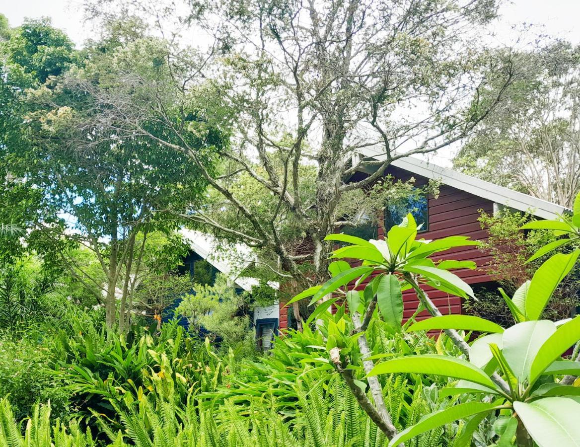 Sky Island Studios Mount Tamborine Exterior photo