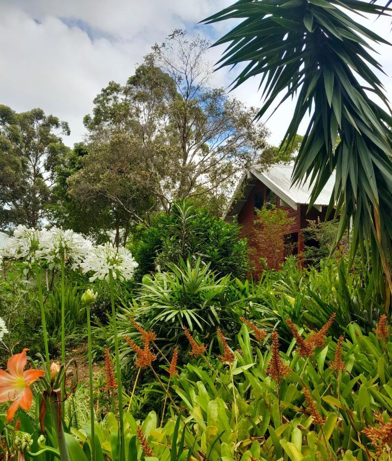 Sky Island Studios Mount Tamborine Exterior photo